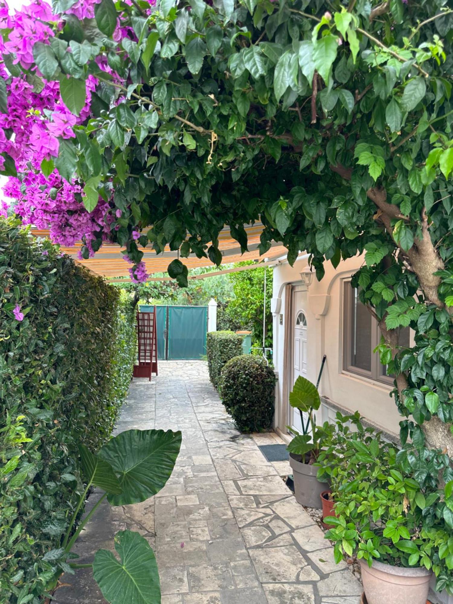 Luxury Residence Zola Zadar Eksteriør bilde